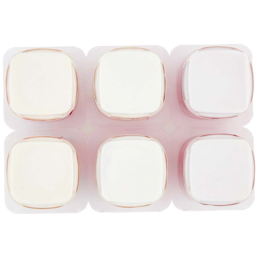 Formaggino alla frutta 6 pz da 50 gr - Immagine 21