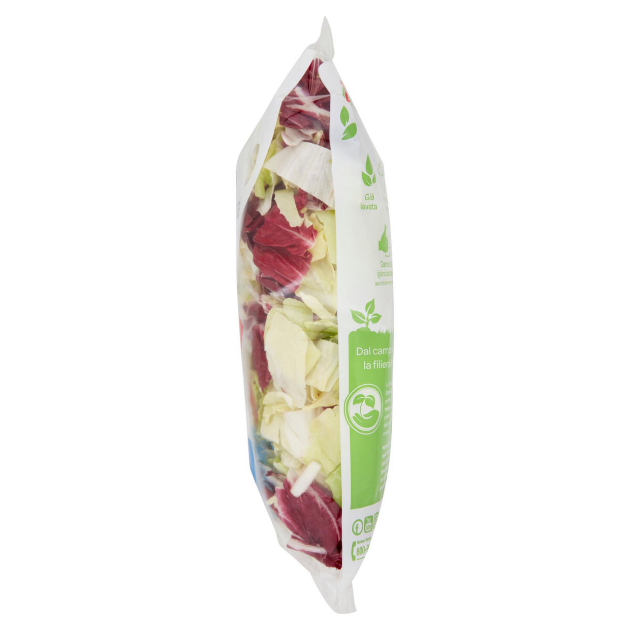 Insalata pan di zucchero e radicchio rosso 500 gr - Immagine 31