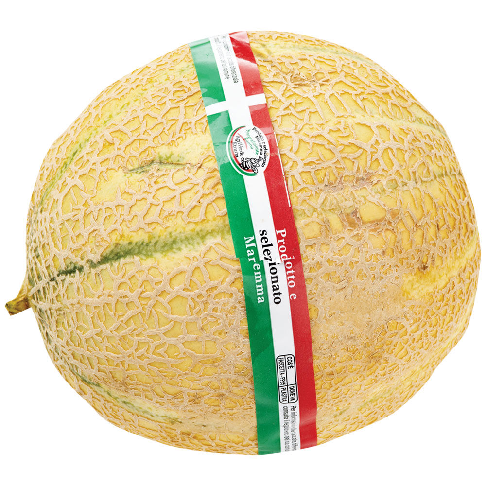 Melone retato