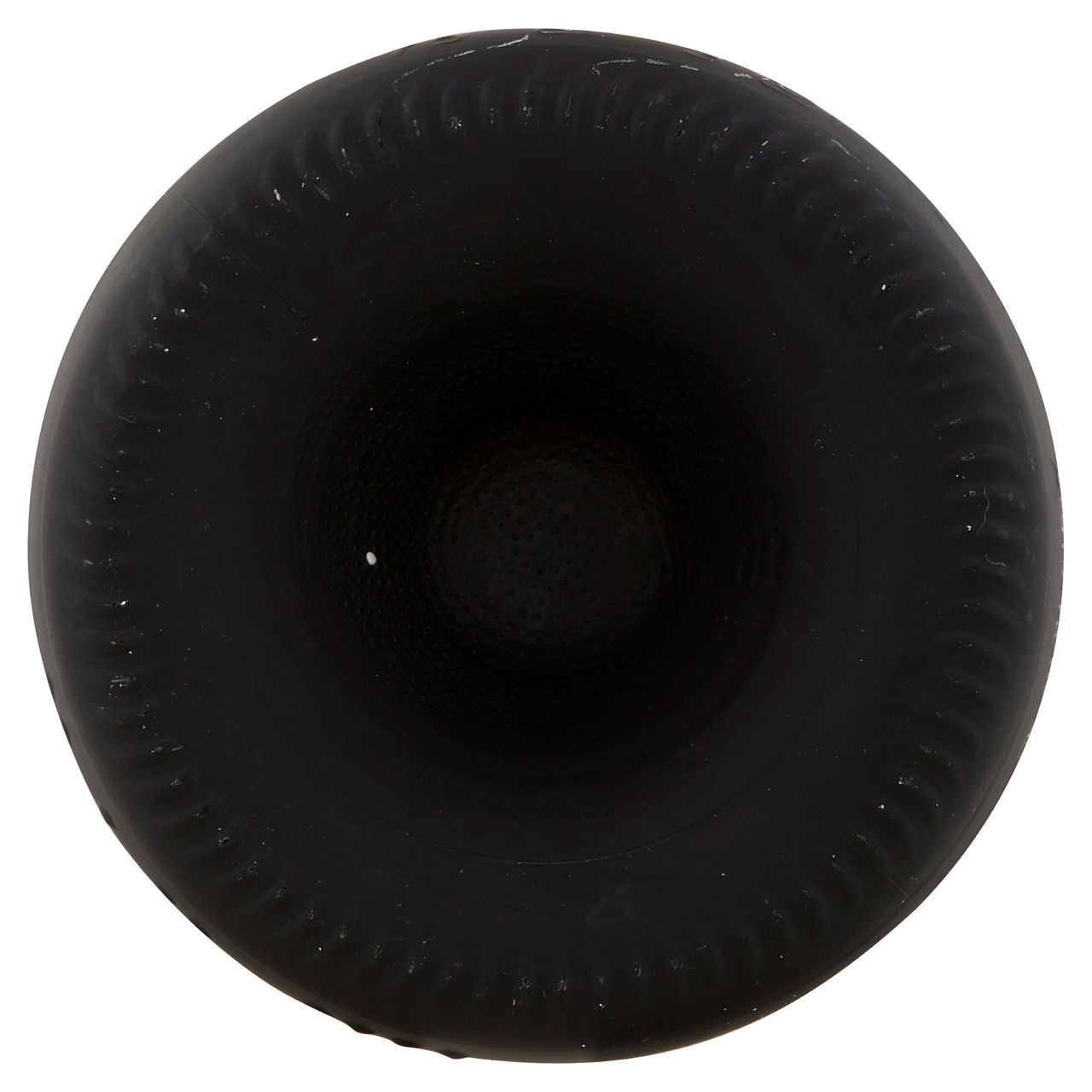 Valdobbiadene Prosecco Superiore DOCG Extra Dry Millesimato - Immagine 31