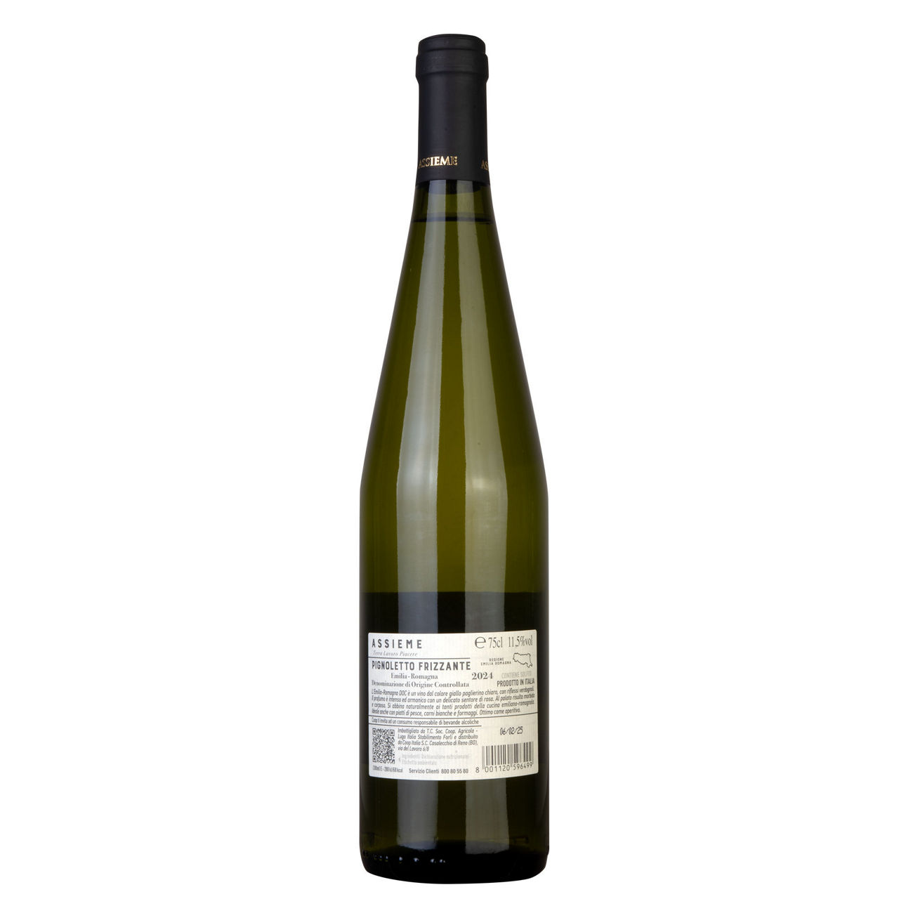 Vino frizzante Pignoletto Emilia  Romagna DOC 750 ml - Immagine 11