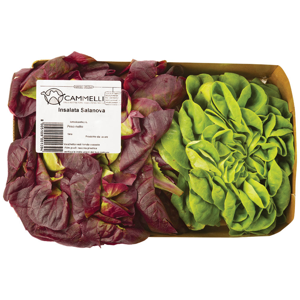 Insalata Salanova Toscana 250 gr