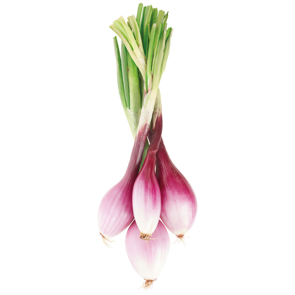 Cipolle Rosse di Tropea IGP 300 gr   