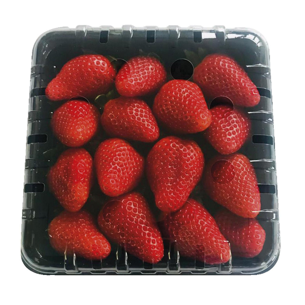 Fragole 500 gr
