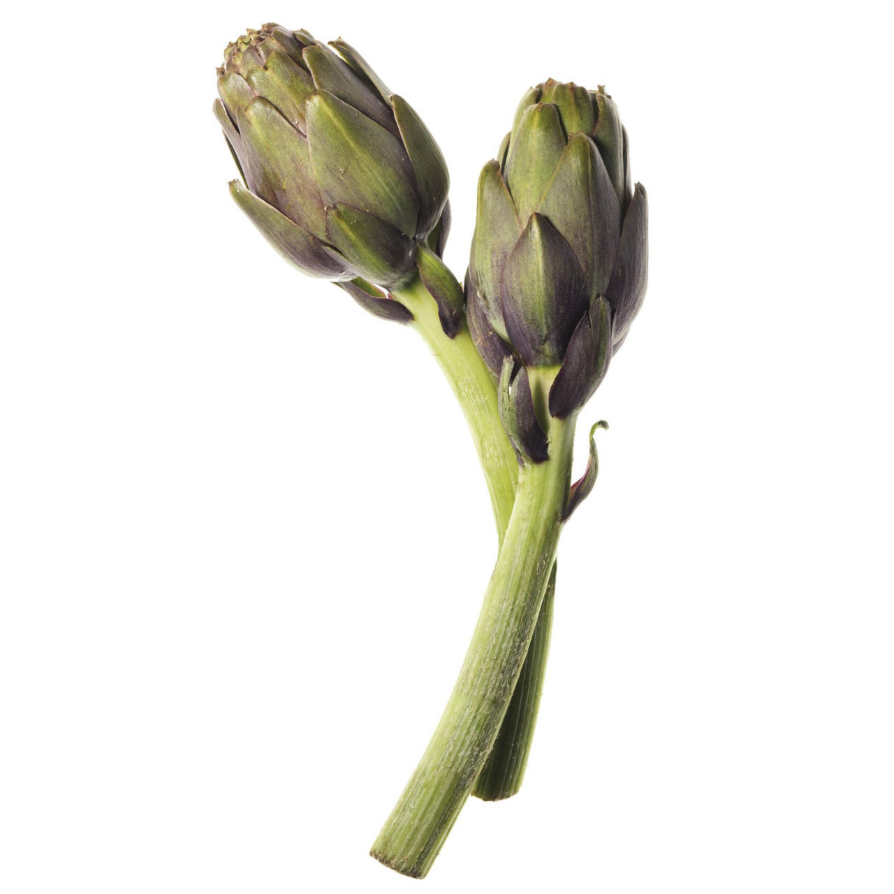 Carciofi moretti - Immagine 01