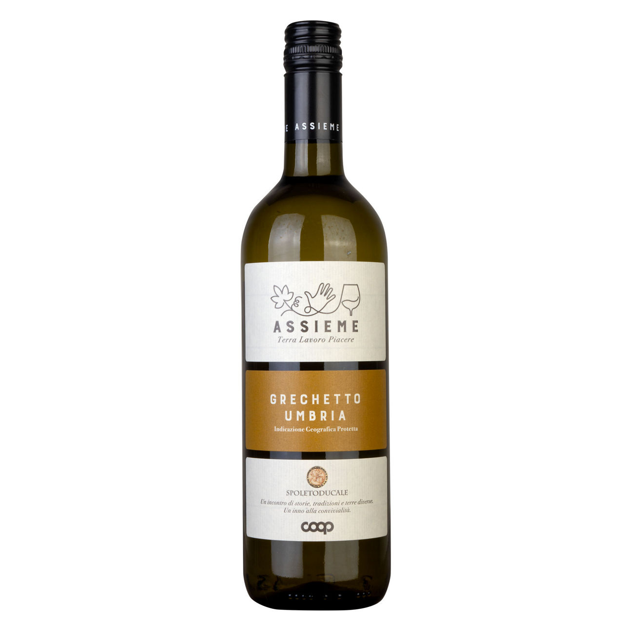 Vino bianco Grechetto Umbria IGP 750 ml - Immagine 01