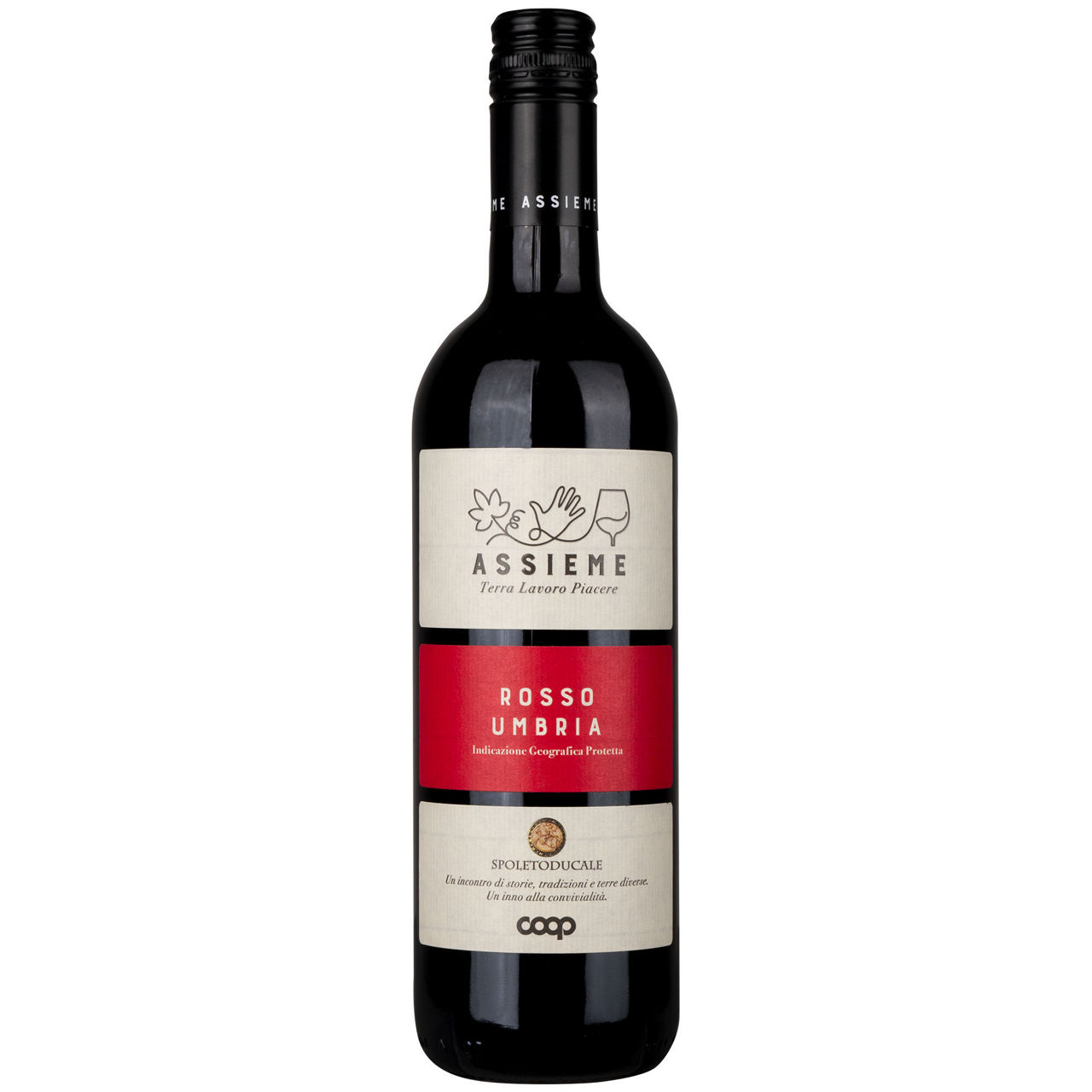 Vino Rosso Umbria IGP 750 ml - Immagine 01