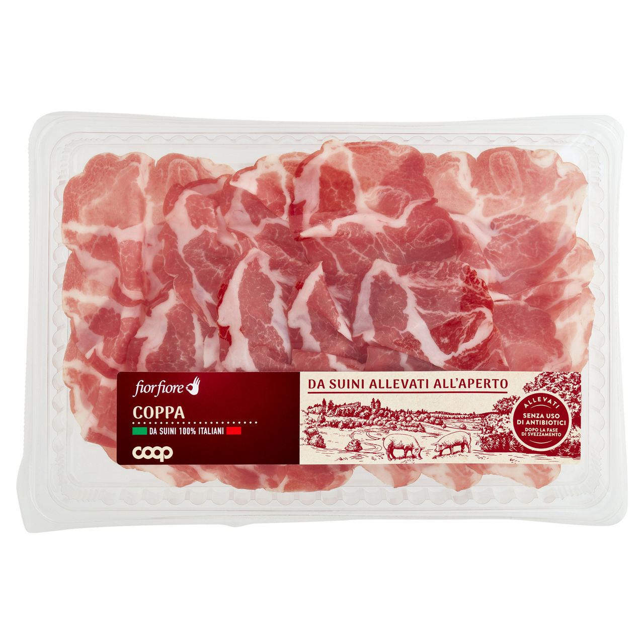 Coppa di suino - Immagine 01
