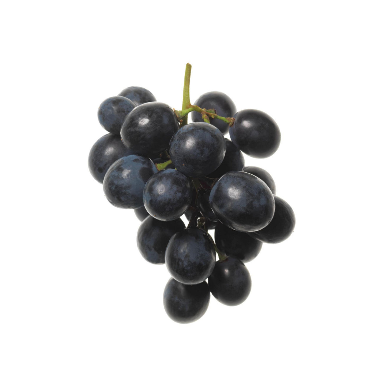 Uva nera Black Pearl senza semi