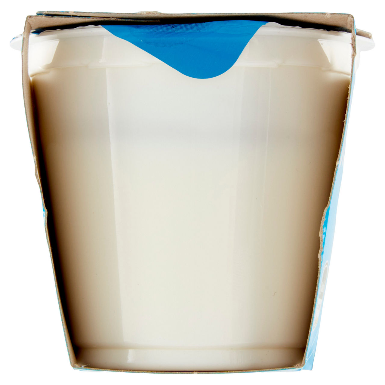 Yogurt leggero bianco senza lattosio 2 pz da 125 gr - Immagine 31