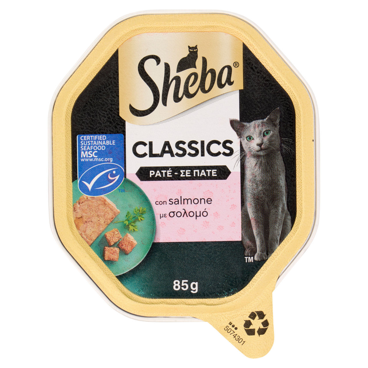 Umido per gatti paté con salmone 85 gr