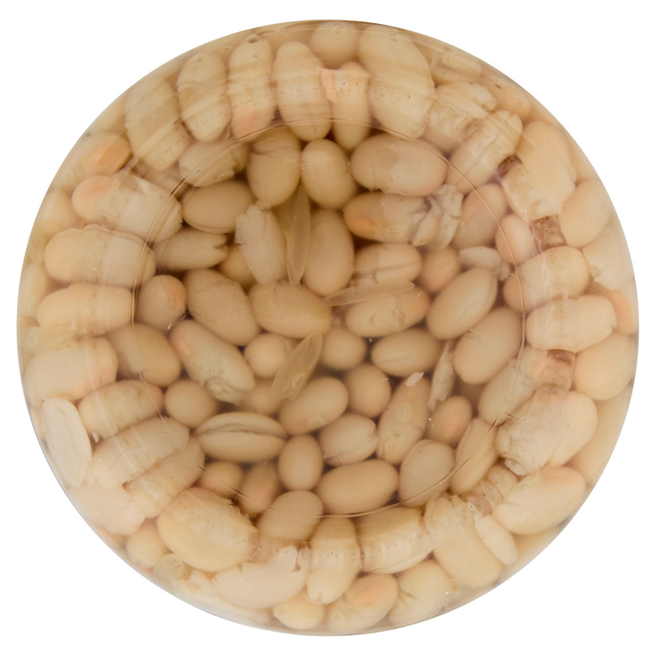 Fagioli tondini cotti al naturle 260 gr - Immagine 41