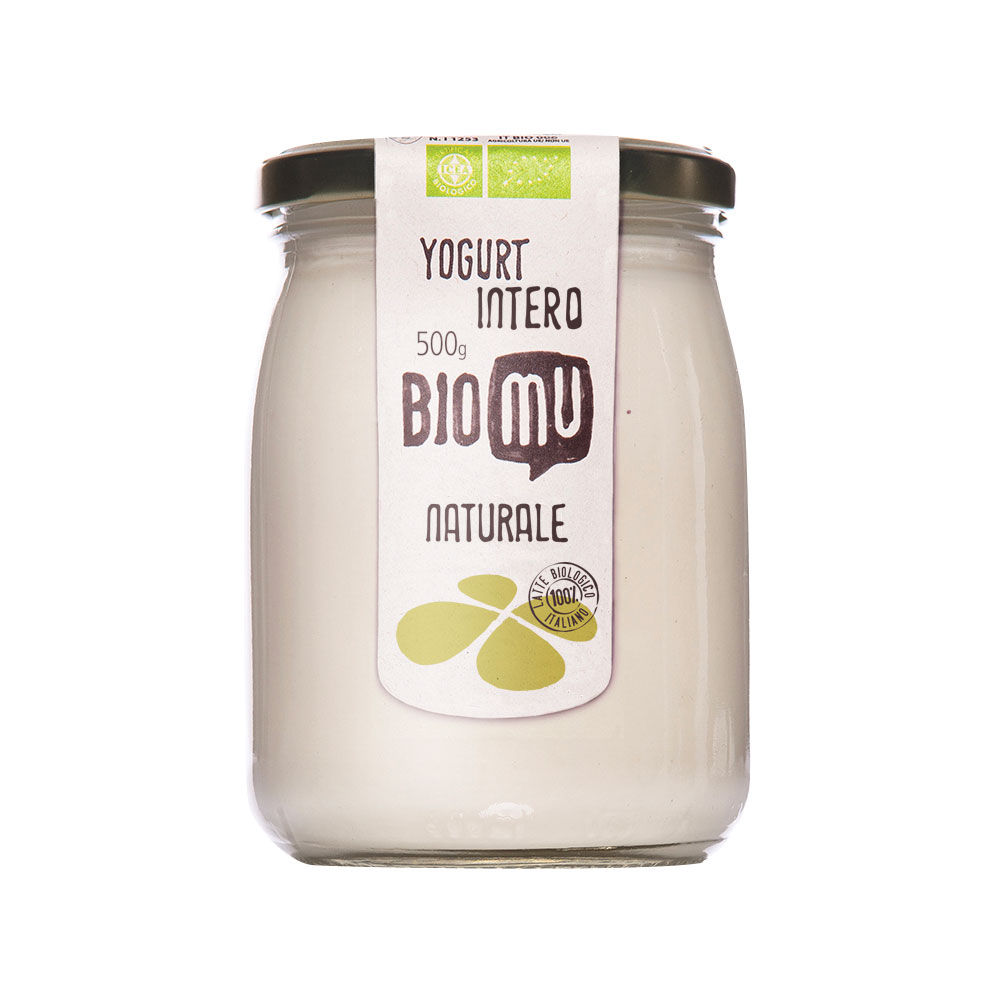 Yogurt intero 500 gr