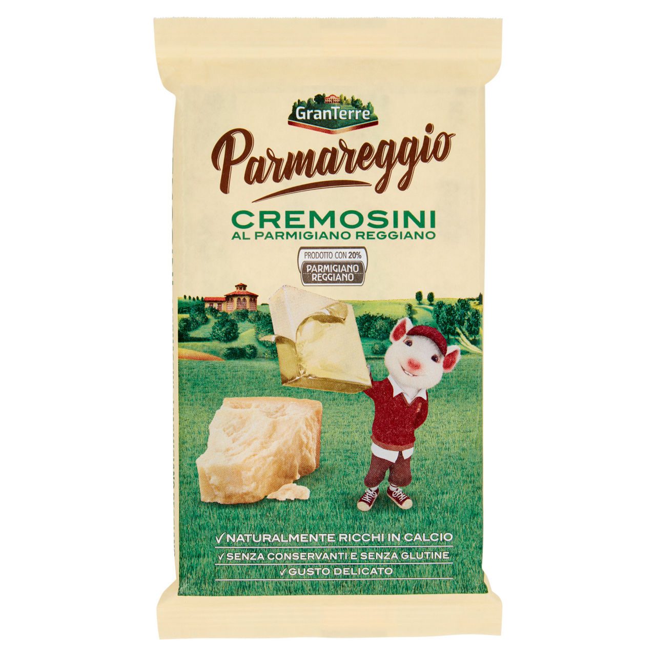 Formaggio fuso al Parmigiano Reggiano 6 pz 125 gr