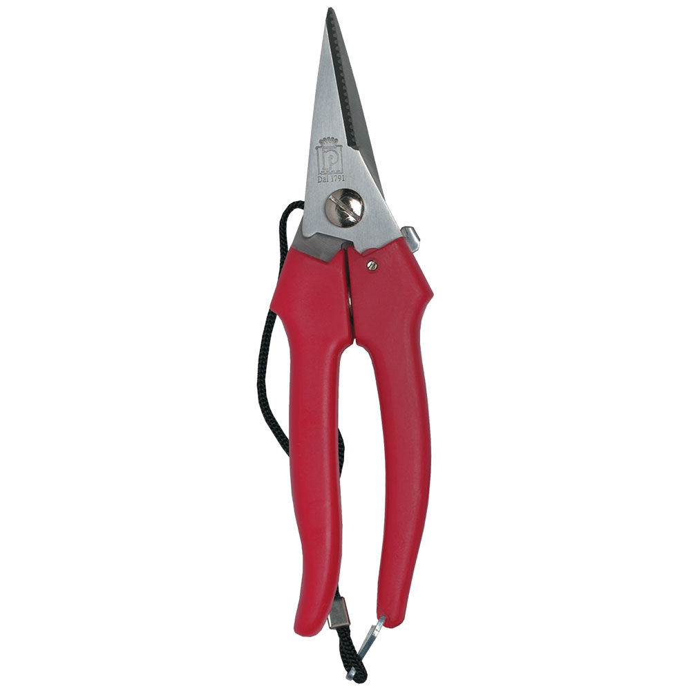 FORBICI PER FIORI, INOX, MANICI IN PLASTICA, 19CM