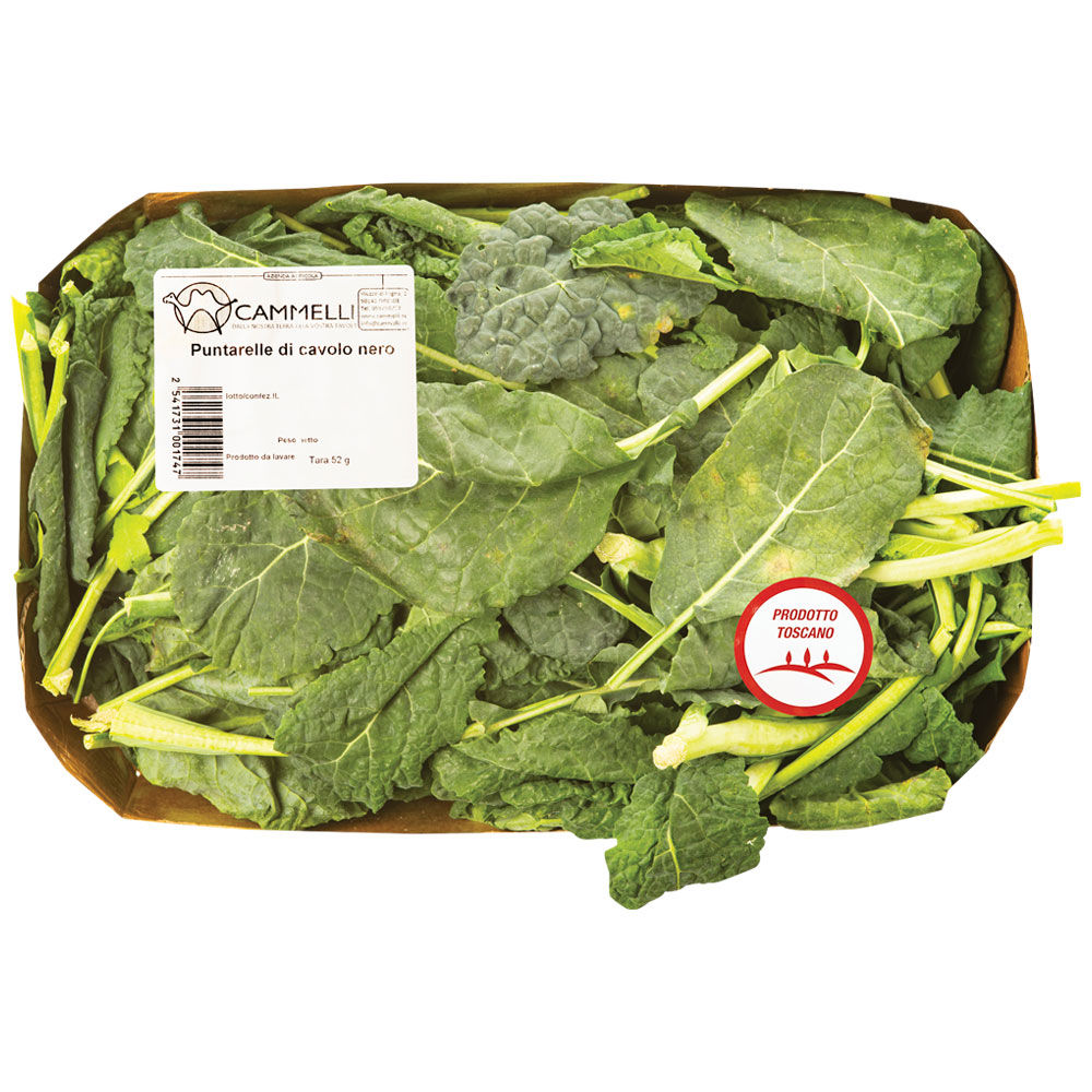 Puntarelle di cavolo nero  