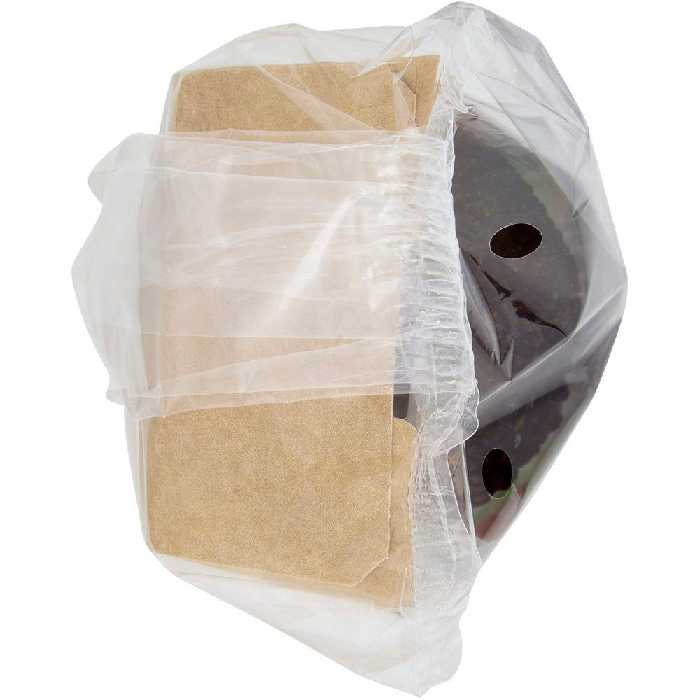 Avocado Hass bio 250 gr - Immagine 11