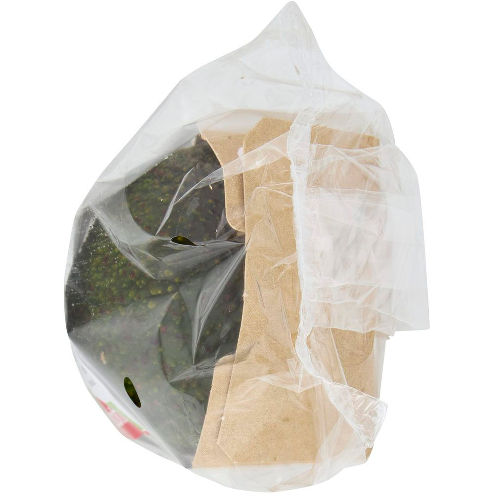 Avocado Hass bio 250 gr - Immagine 31