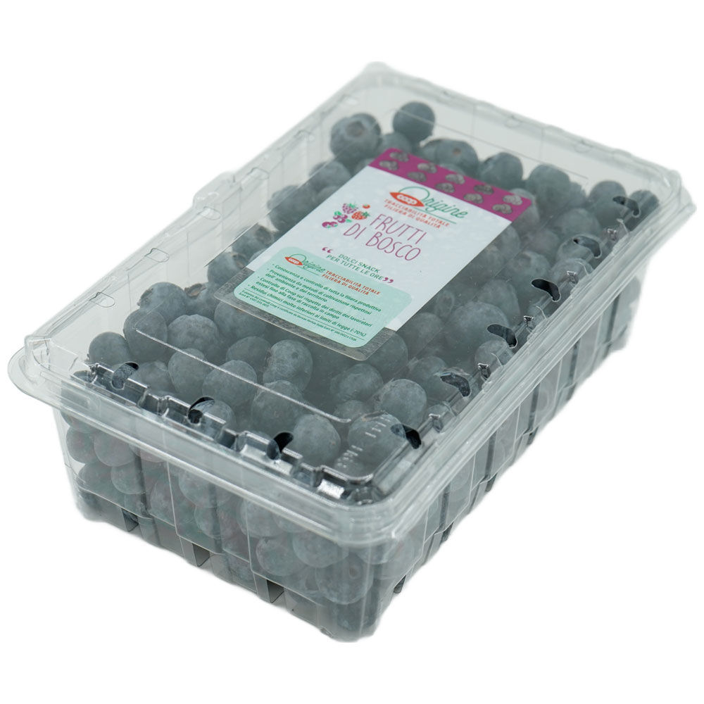 Mirtilli 500 gr