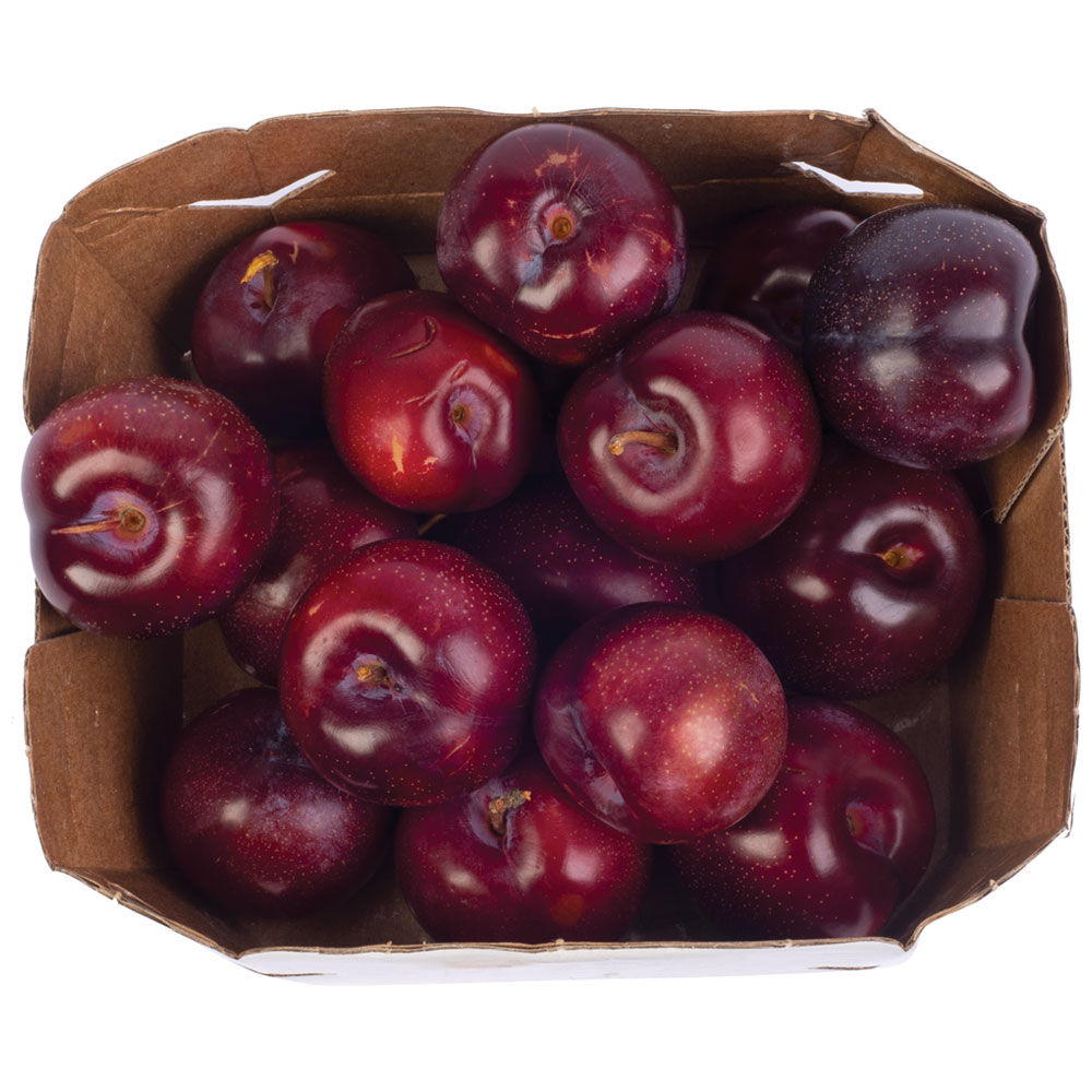 Susine variegate 1 kg