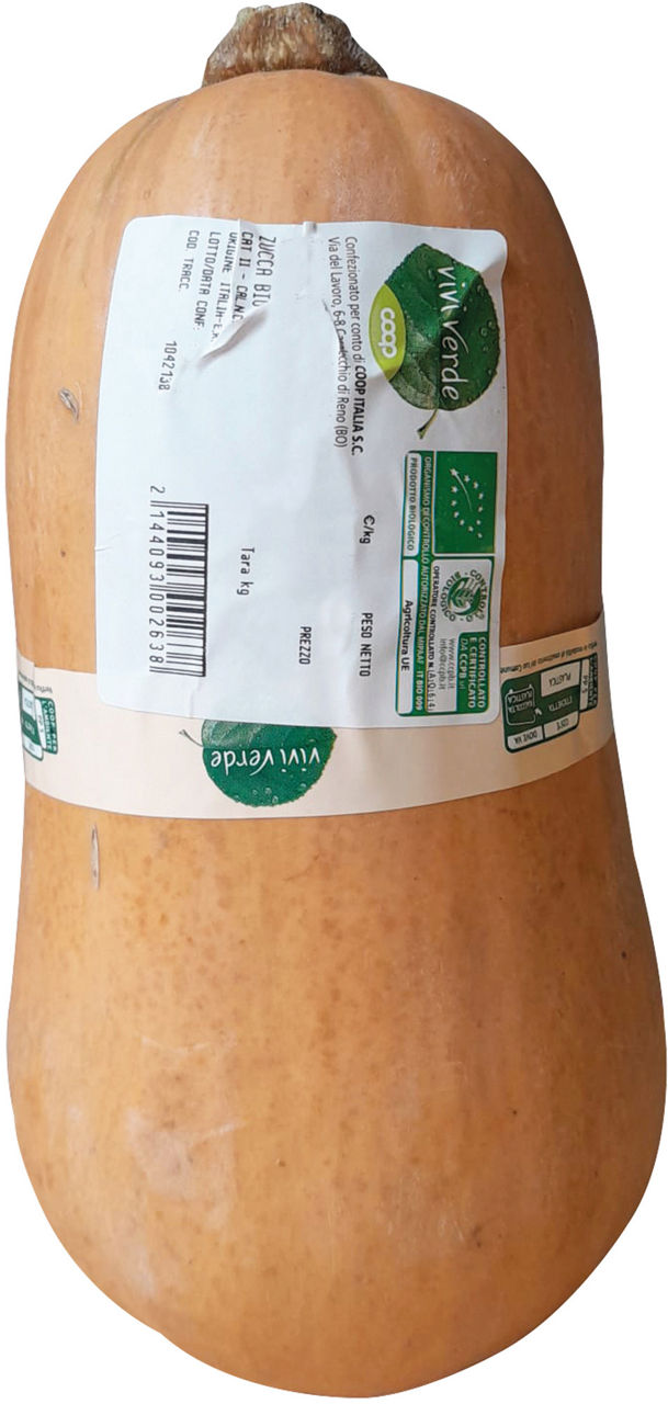 Zucca bio - Immagine 01
