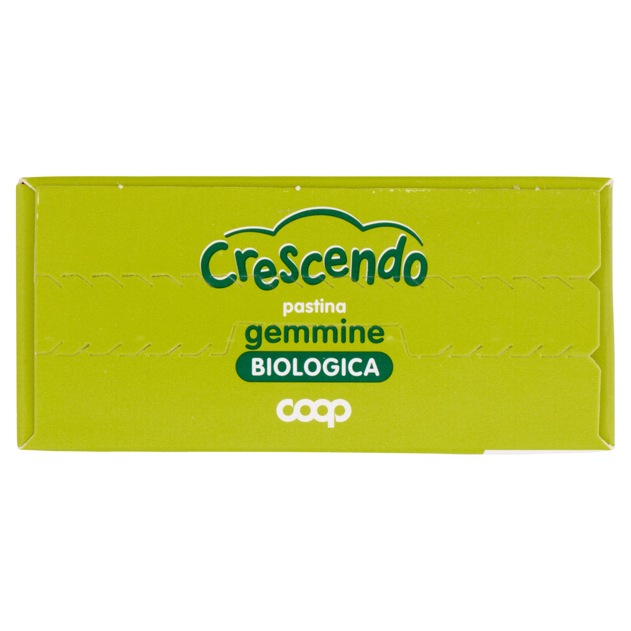Pastina gemmine bio 320 gr - Immagine 41