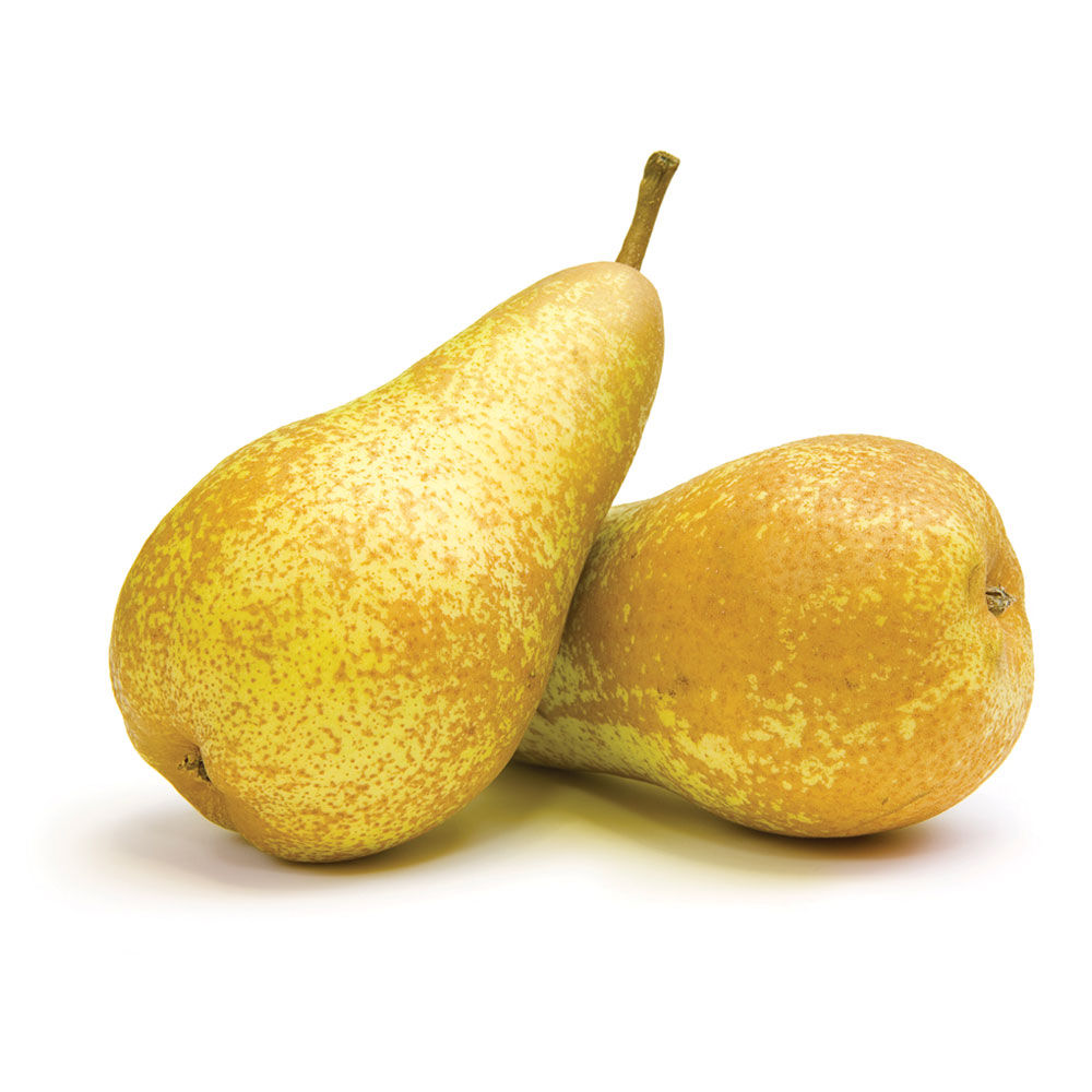 Pere Conference 600 gr