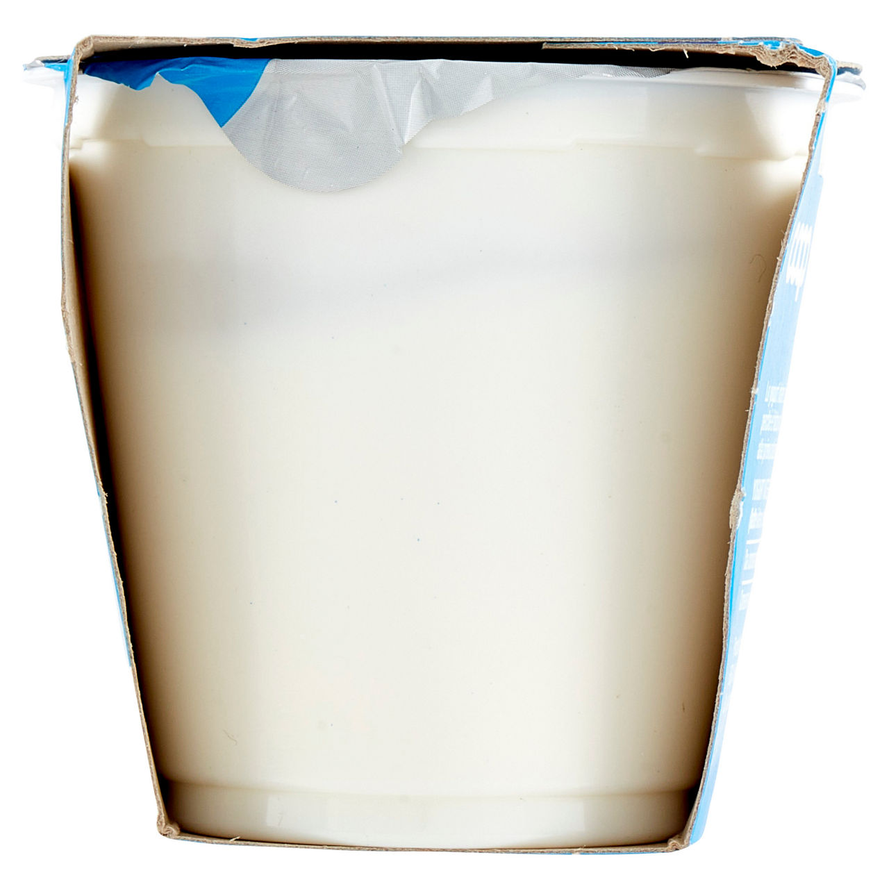 Yogurt intero bianco 2 pz de 125 gr - Immagine 111