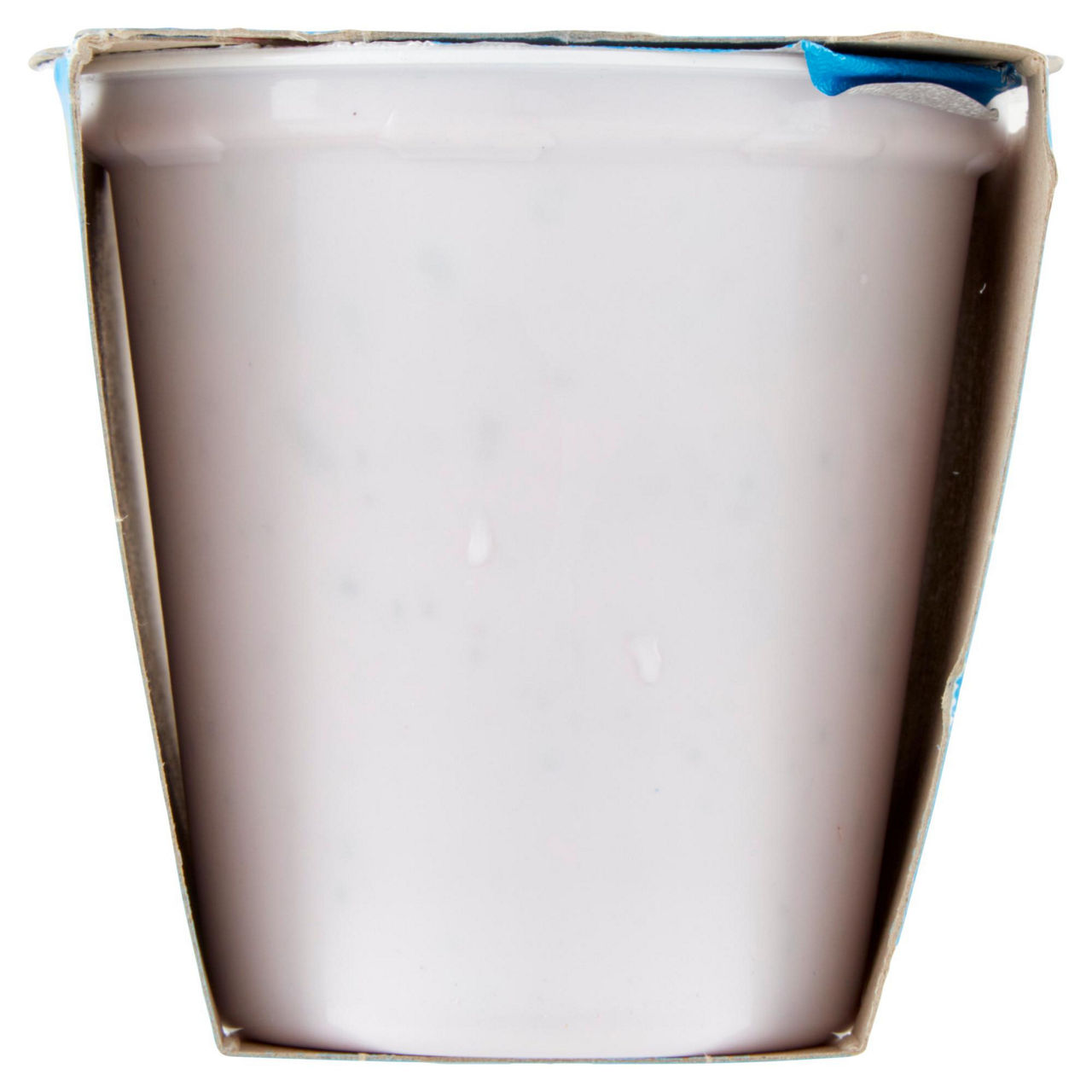 Yogurt intero con mirtilli in pezzi 2 pz da 125 gr - Immagine 21