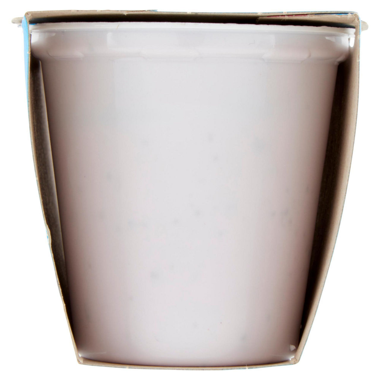 Yogurt intero con mirtilli in pezzi 2 pz da 125 gr - Immagine 11