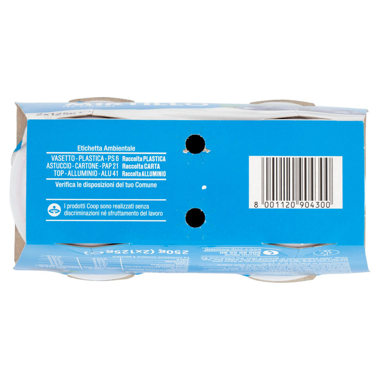 Yogurt intero con mirtilli in pezzi 2 pz da 125 gr - Immagine 41