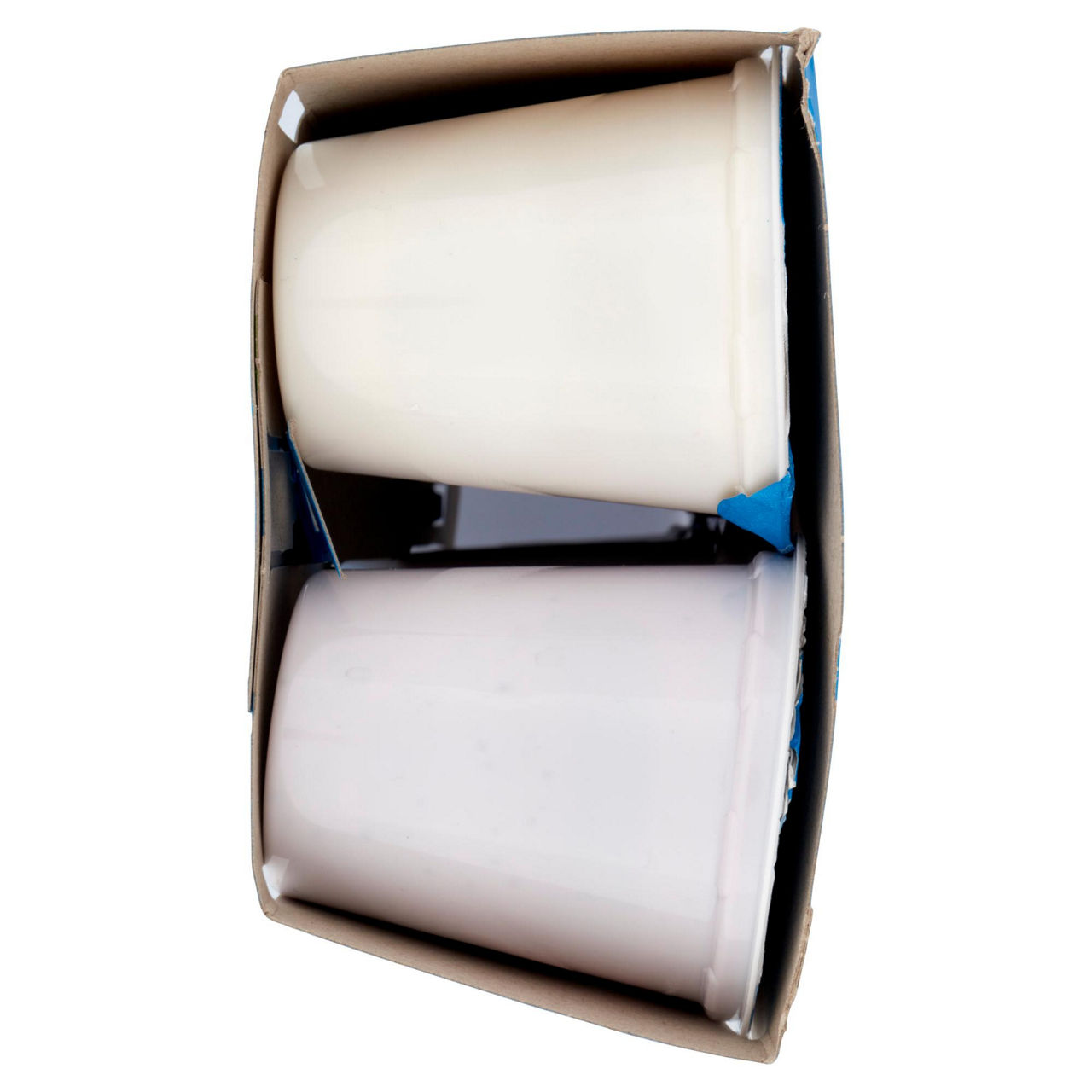 Yogurt cremoso con frutta assortita 8 pz da 125 gr - Immagine 51