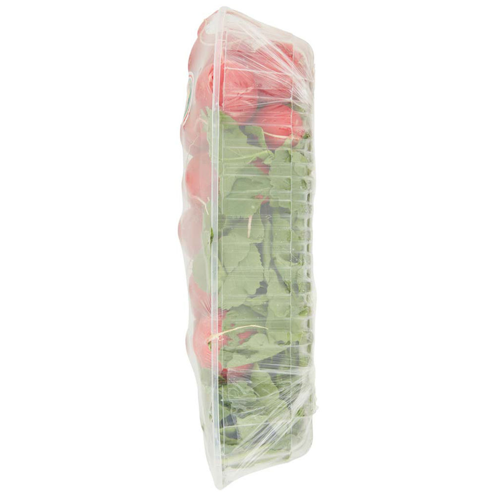 Ravanelli 400 gr - Immagine 31