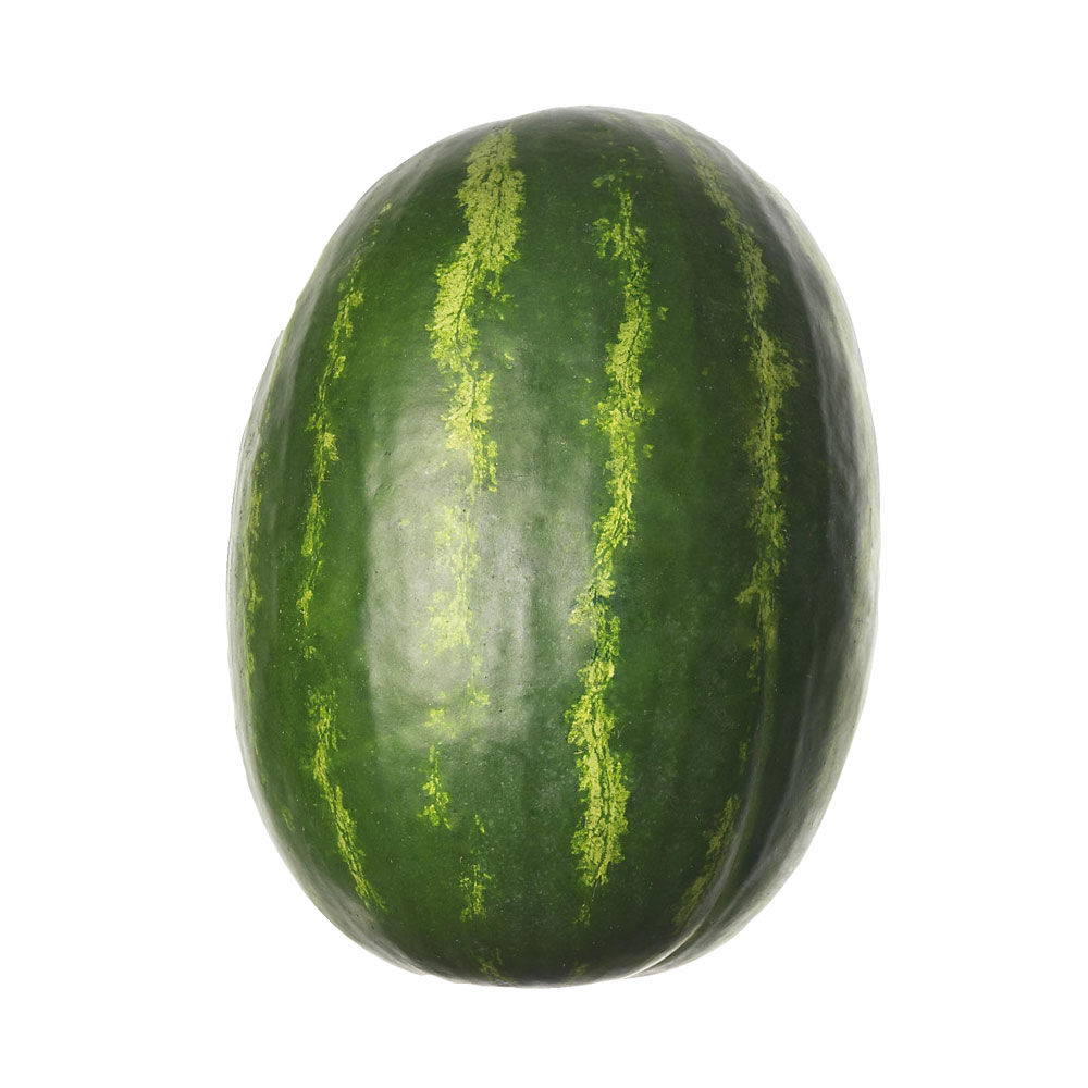 Cocomero