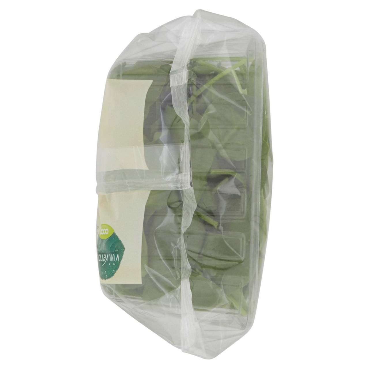 Spinacino bio 100 gr - Immagine 11