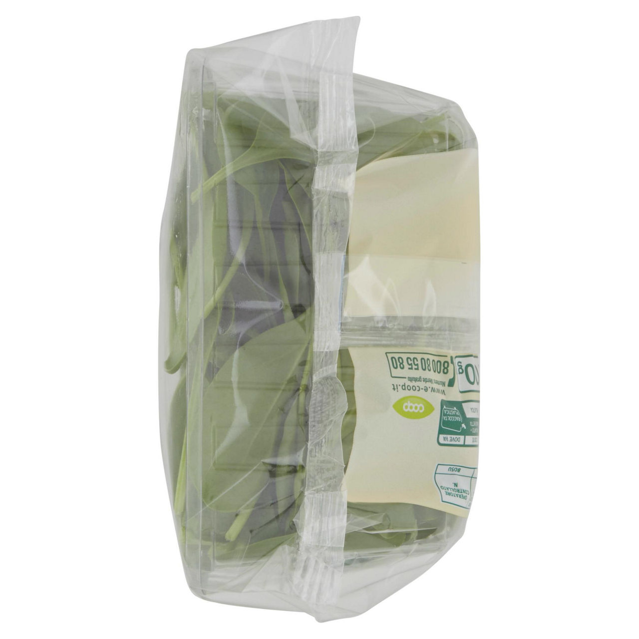 Spinacino bio 100 gr - Immagine 41