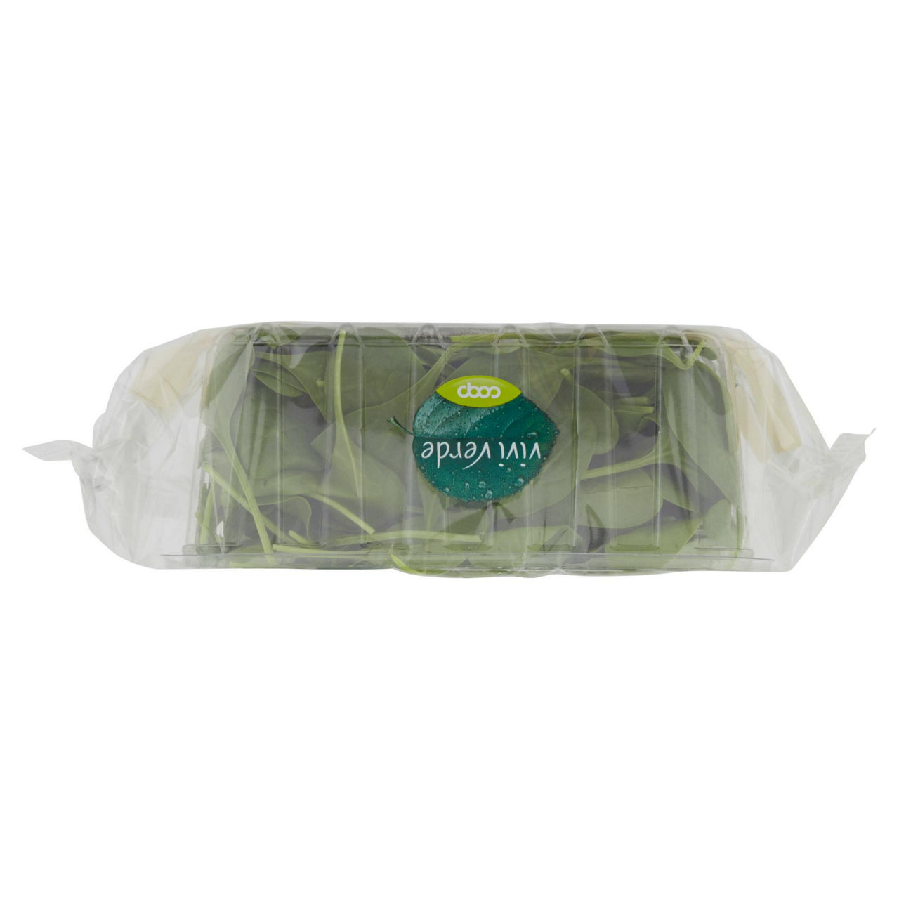 Spinacino bio 100 gr - Immagine 31