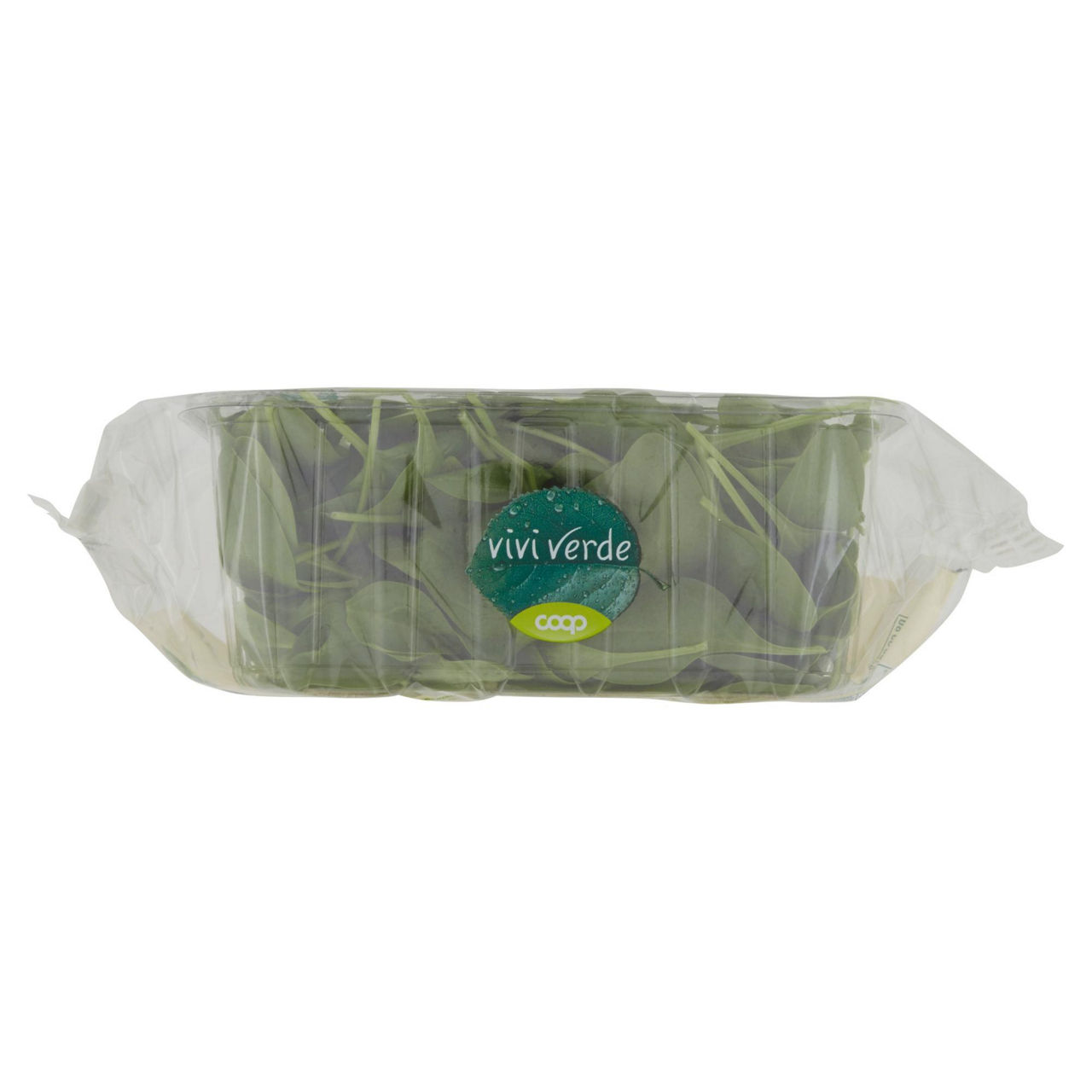 Spinacino bio 100 gr - Immagine 21
