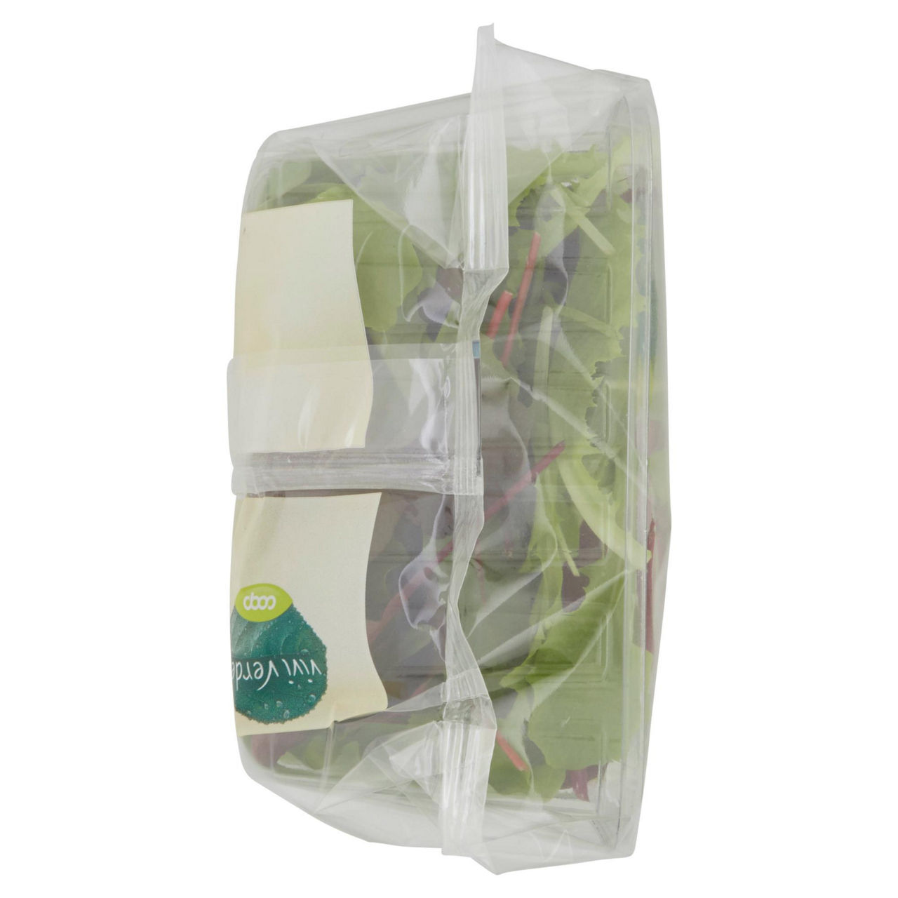 Insalata mista Orientale bio 100 gr - Immagine 31