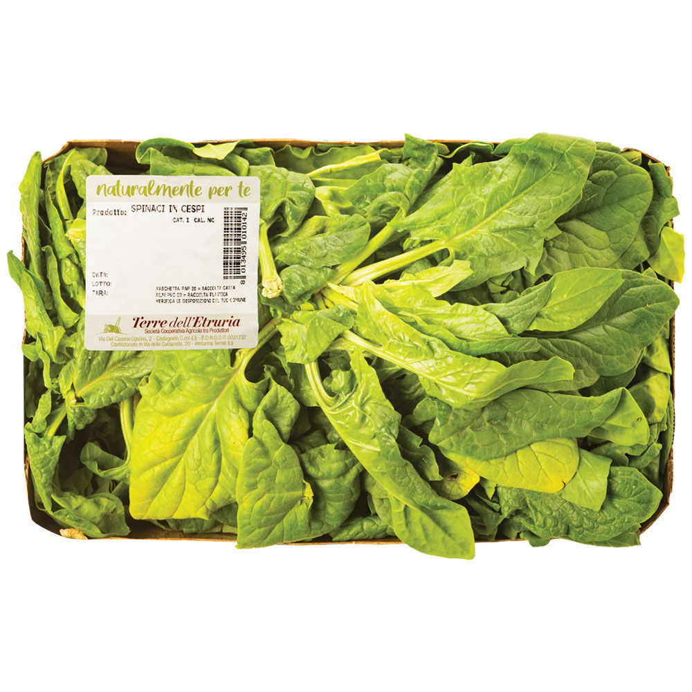 Spinaci 500 gr