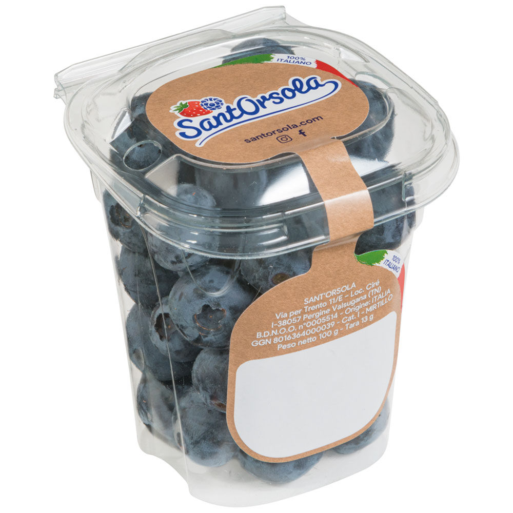 Mirtilli 100 gr
