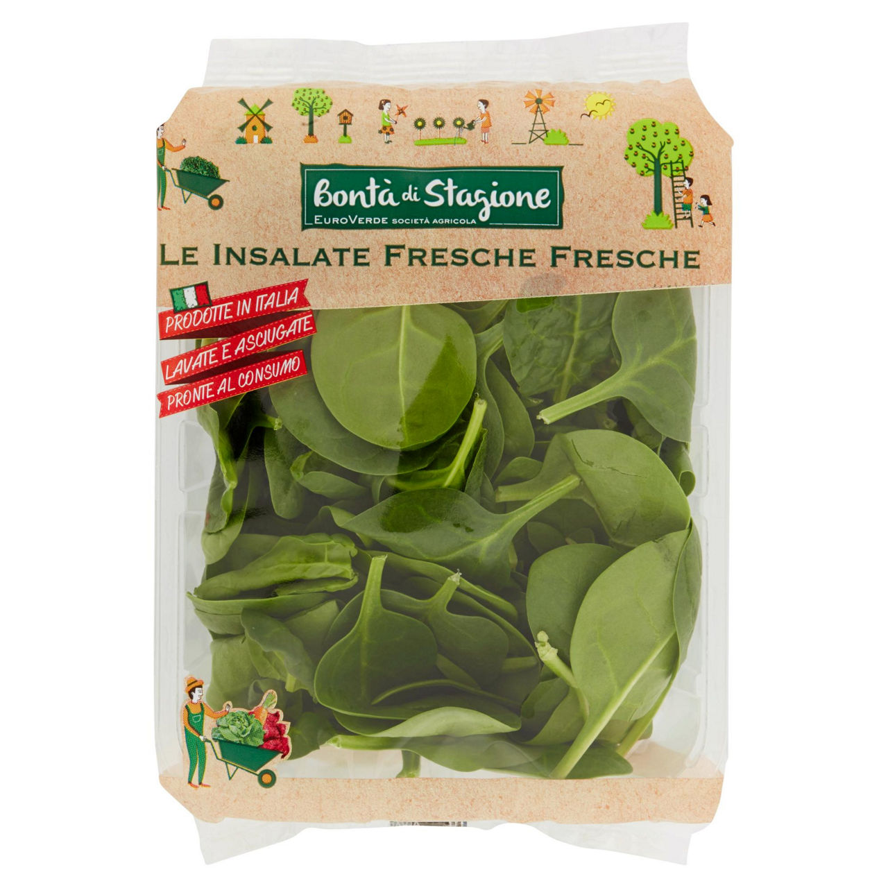 Insalata spinacino 80 gr - Immagine 01