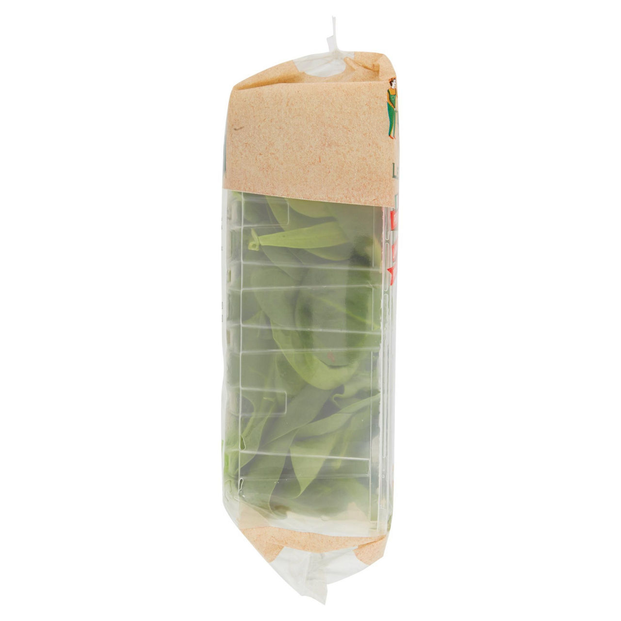 Insalata spinacino 80 gr - Immagine 51