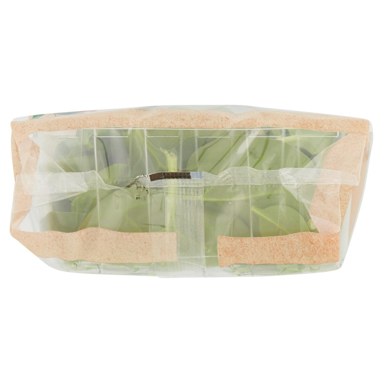 Insalata spinacino 80 gr - Immagine 11