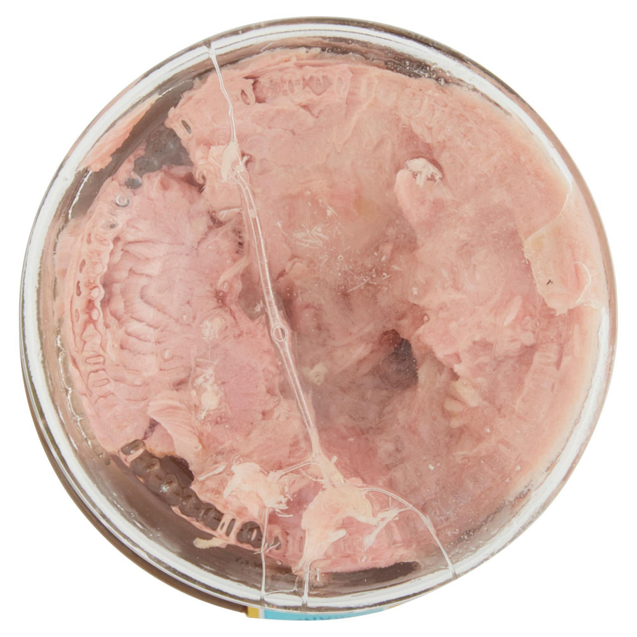 Filetti tonno nostromo naturale vv g 126 - Immagine 51
