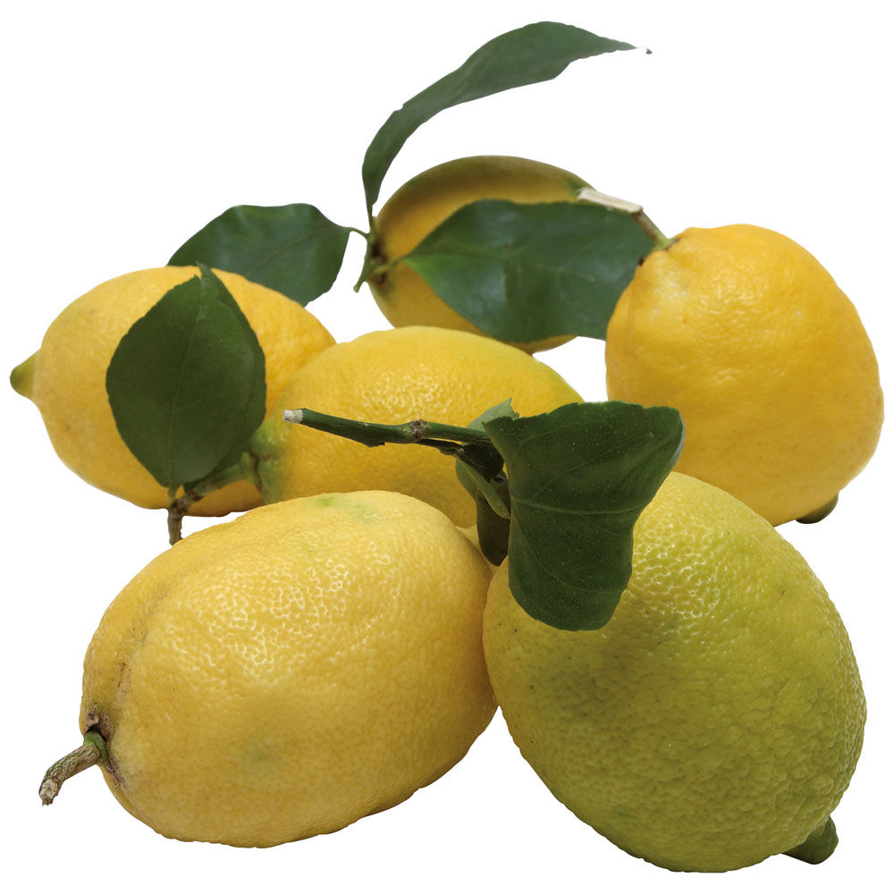 Limoni affogliati