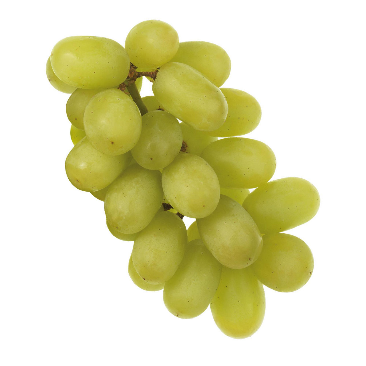 Uva Vittoria