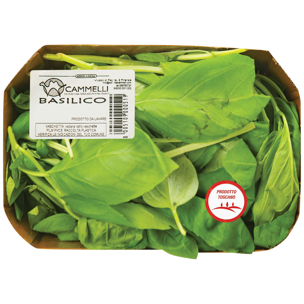 Basilico 60 gr - Immagine 01