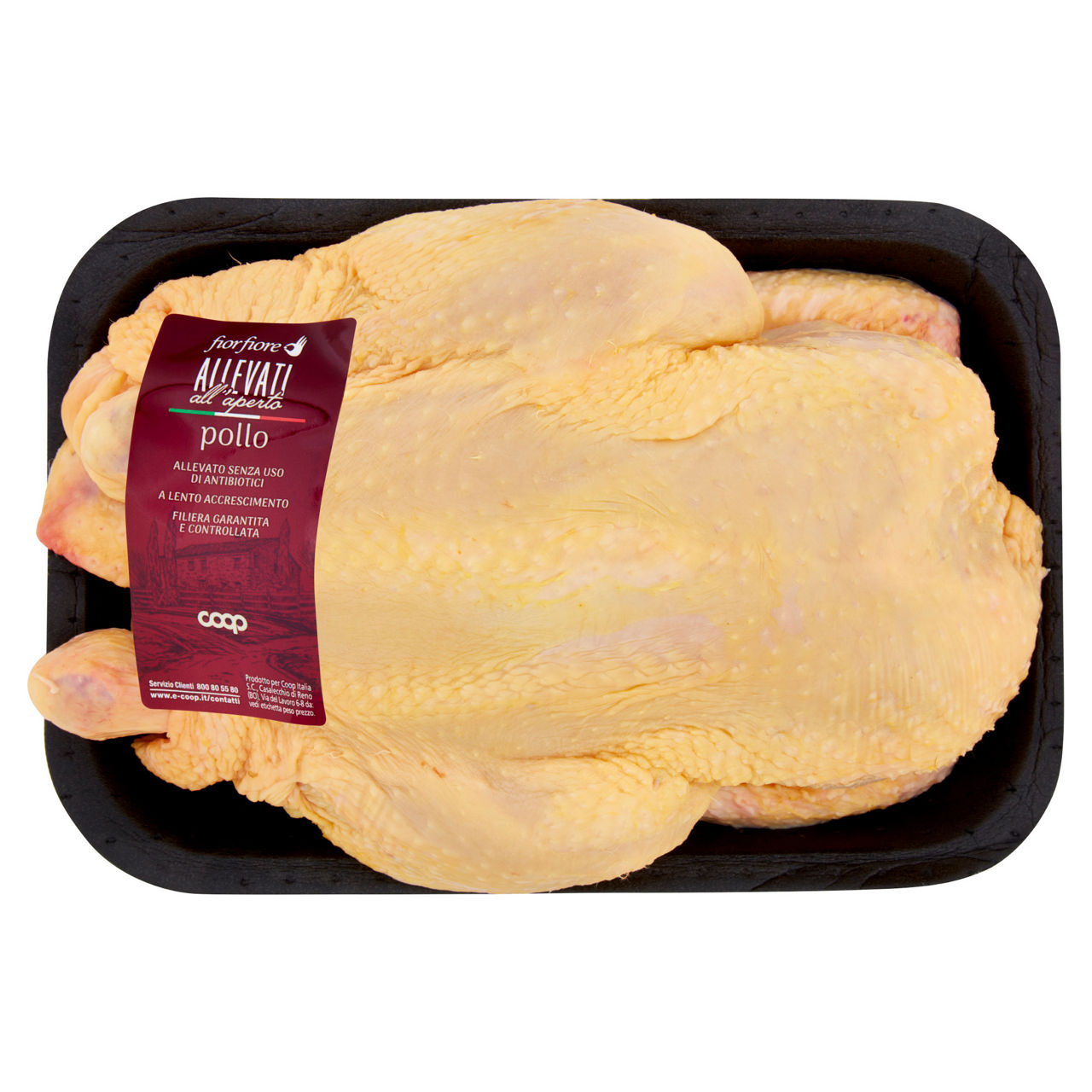 Pollo allevato all'aperto