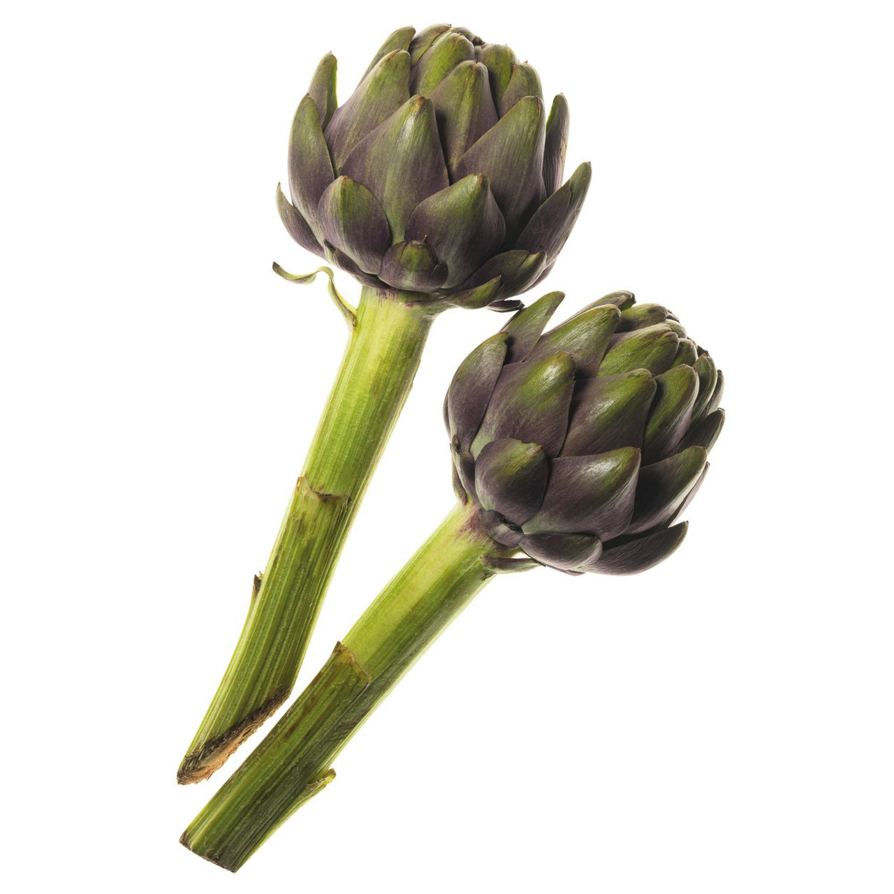 Carciofi mammole 2 pz